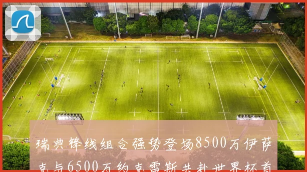 瑞典锋线组合强势登场8500万伊萨克与6500万约克雷斯共赴世界杯首秀