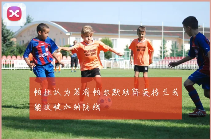 帕杜认为若有帕尔默助阵英格兰或能攻破加纳防线