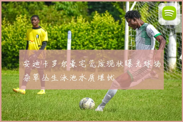 安迪卡罗尔豪宅荒废现状曝光球场杂草丛生泳池水质堪忧