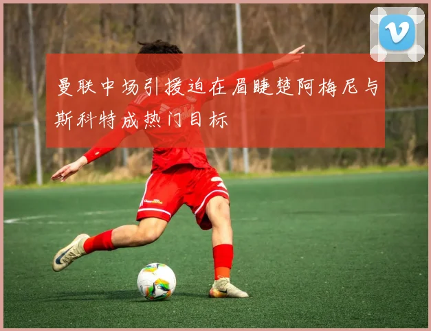 曼联中场引援迫在眉睫楚阿梅尼与斯科特成热门目标